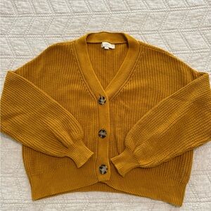 LOFT cardigan